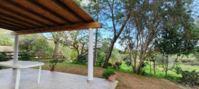 La Mimosa Bianca Tertenia